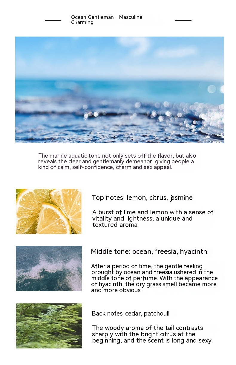Nieuw parfum is tot nadenken stemmend, Paris Water Herenparfum Wood Ocean Flavour 50ml Fris en aanhoudend parfum_voghion.com