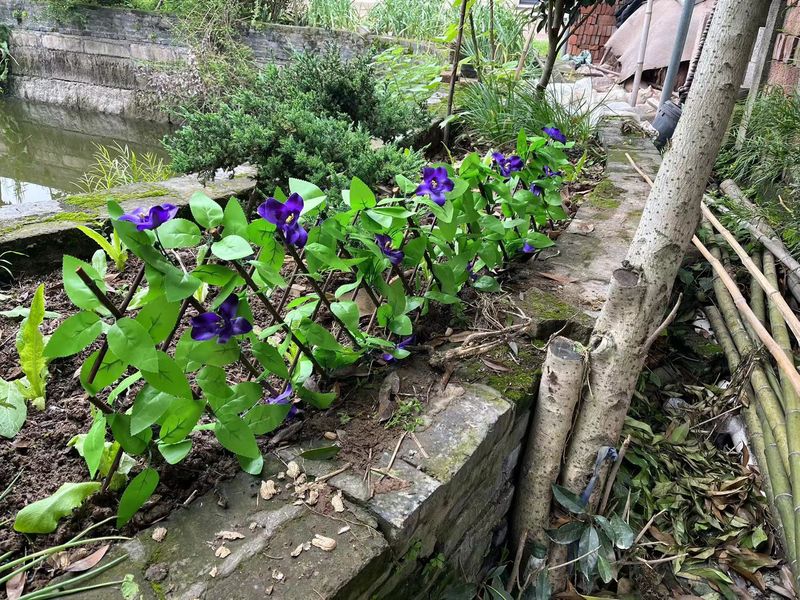 Valla de simulación de troncos de alta calidad, recinto de flores de simulación, decoración de patio, planta verde de simulación, flor de plástico_voghion.com