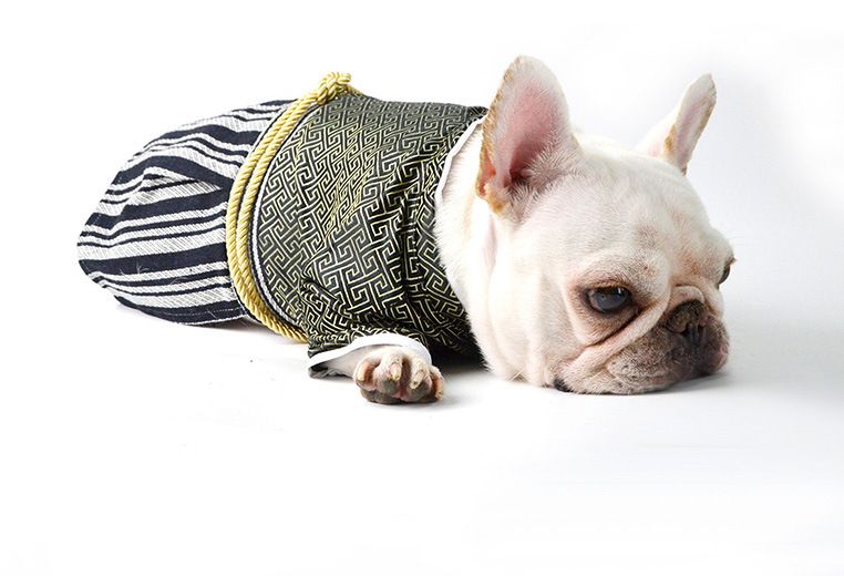 Huisdier Kimono Hond Samoerai Hondenkleding Teddy kleding Kattenkleding Creatieve huisdierkleding schattig_voghion.com