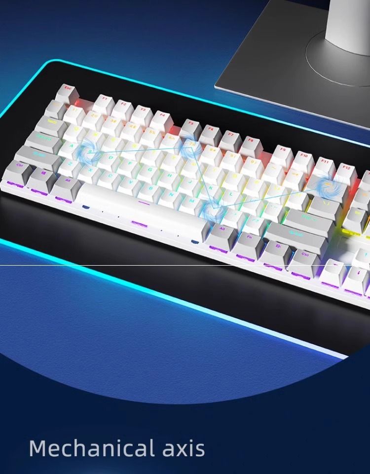 RuiYi F87 Key Mechanical Keyboard Gaming Wired Office Laptop Blue Brown Switch Red_voghion.com