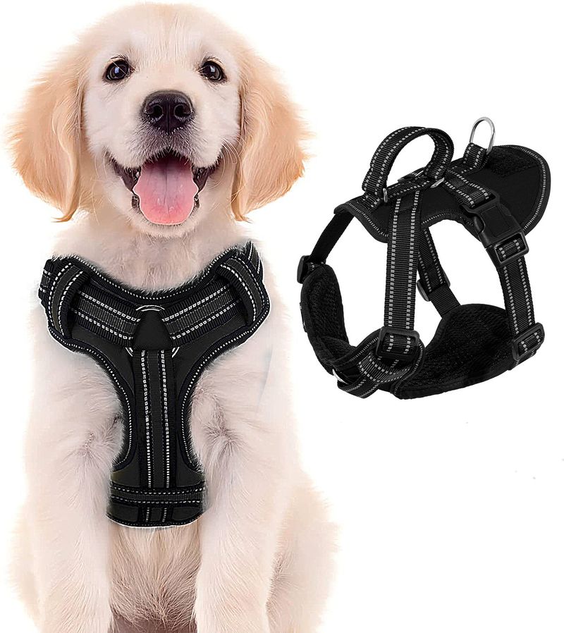 Leash Large Medium Small Reflective Breathable Chest Harness Dog Rope Explosion-proof Rush Adjustable_voghion.com