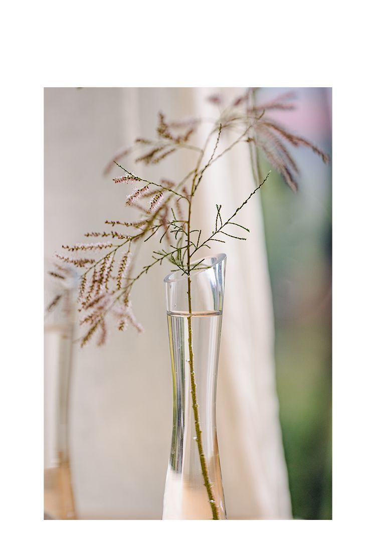 【 46000 People Collected 】 Juhan Nordic Ins High Beauty Arrangement Water Nourishing Small Vase Glass Transparent_voghion.com