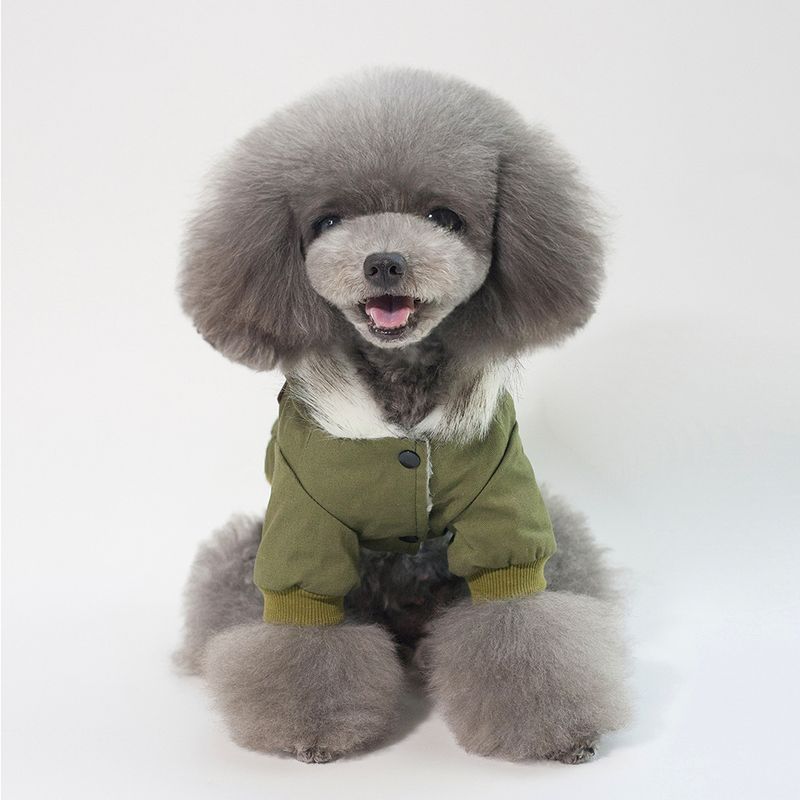Ropa para mascotas Ropa para perros Otoño e invierno Ropa nueva para mascotas Patas para mascotas Ropa de algodón Junlu Ropa de algodón Polar_voghion.com