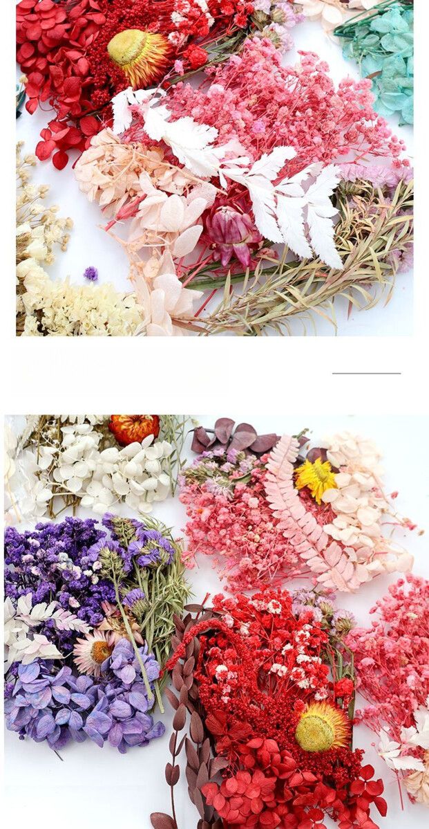 Konserviertes getrocknetes DIY-Material-Kit, echte natürliche luftgetrocknete Kerze, Fächerrahmen, Grußkarten-Dekoration, handgemachte Blume_voghion.com