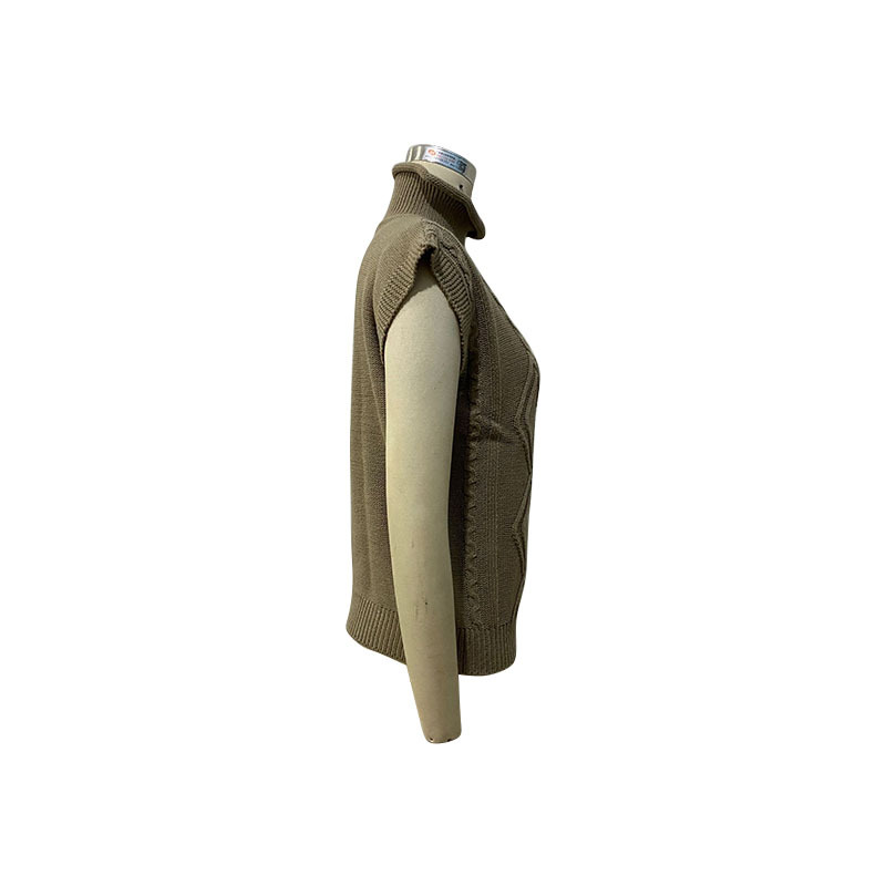 Damenbekleidung Mode Damenbekleidung einfarbig Kurzarm-Rollkragenpullover_voghion.com
