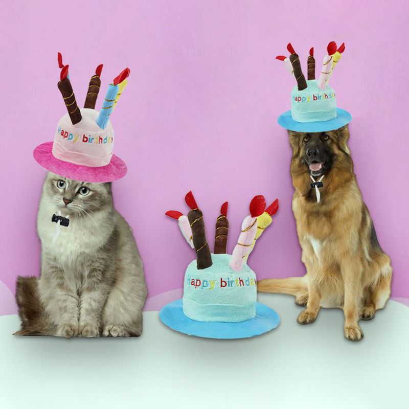 Pawstrip Hat For Dogs Green/Pink By PawParty Store_voghion.com