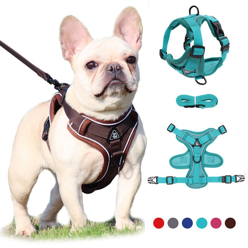 CDDMPET Adjustable No-Pull Dog Harness And Leash By PawParty Store_voghion.com
