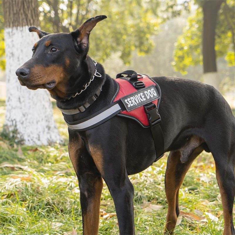 Guinzaglio per cani in pelle PU riflettente con imbracatura anti-groviglio e design retrattile per cani_voghion.com