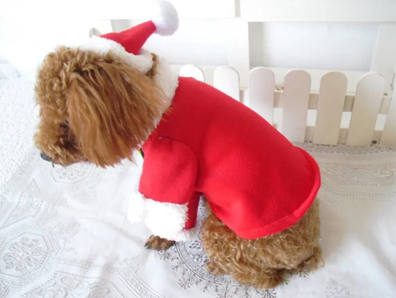 Julekostumer Sjove julemandstøj til små katte Hunde Xmas Nytår Kæledyr Katttøj Vinter Kitty Killing_voghion.com