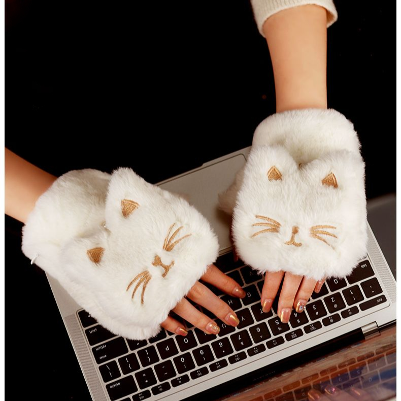 2024 New Cat Paw Hand Warmer Heating USB Rechargeable Heated Gloves High Appearance Value For Men And Women Gift_voghion.com