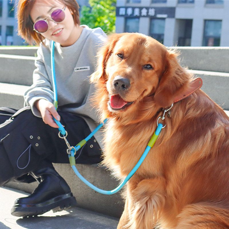 Adjustable Hands Free Nylon Dog Leash By PawParty Store_voghion.com