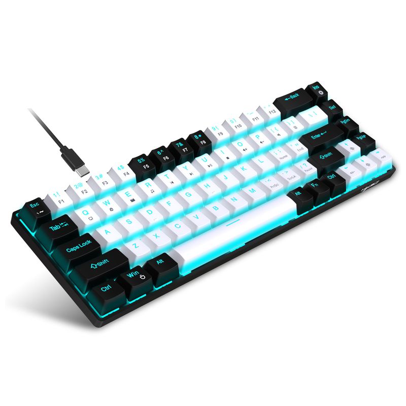 New 68 Key Wired Mechanical Esports Game Keyboard Hot Plug Axis Engineering Dual Color Injection Molding Keycap Ice Blue_voghion.com