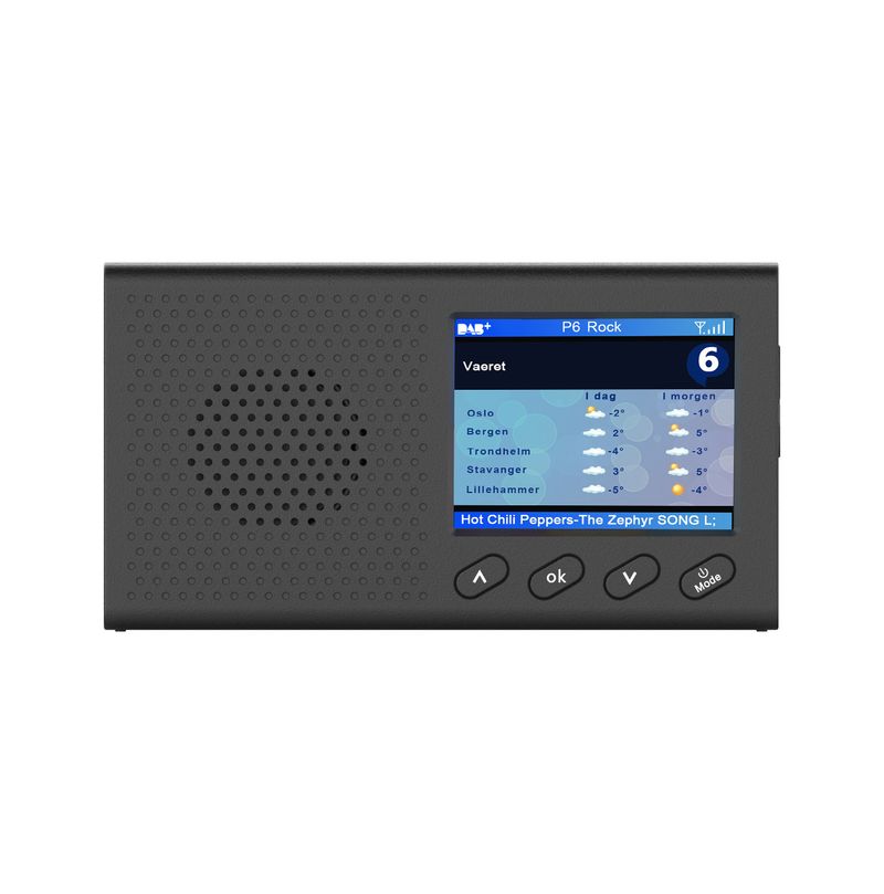 New Hot Selling Multifunctional Portable Home Color Screen Display Digital Radio_voghion.com