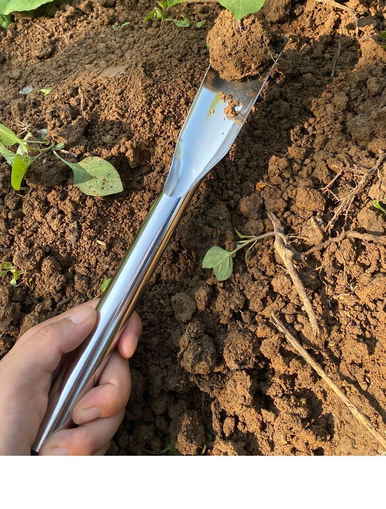 【Multiuso】 Piccola pala per terra, interamente in acciaio inossidabile, per piantare fiori, scavare verdure selvatiche, giardinaggio_voghion.com