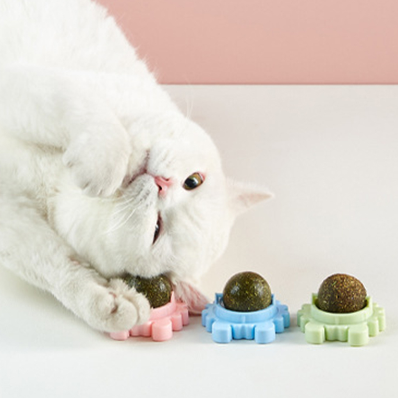 3 Pcs/Set For Cat Catnip Toys With Lid Interactive Toy Teeth Cleaning Mint Ball_voghion.com