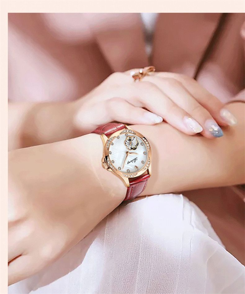 AILANG Automatic Mechanical Watches For Women Waterproof Classic Watch Luxury Elegant Ladies Watch Reloj Mujer 6639_voghion.com