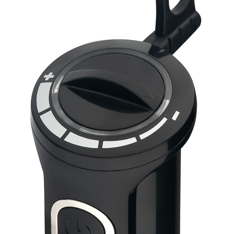 RAF European Standard Handheld Electric Stick Mixer Multi Functional Household Cooking Auxiliary Food Baking_voghion.com