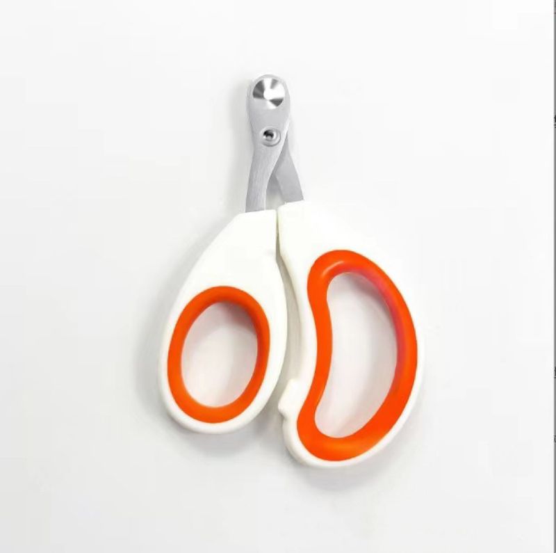 Tijeras pequeñas para ciegos: cortaúñas para gatos antihemorragias, específico para principiantes, tamaño pequeño_voghion.com