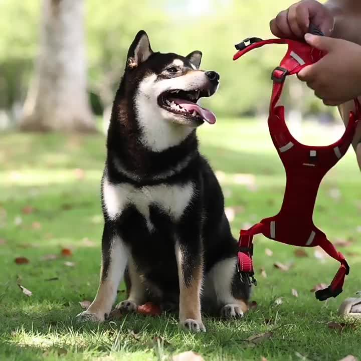 Regulowane szelki dla psa średniej wielkości, odblaskowe, letnie, dla dużego psa, Hukie, golden retrievera, sklep Pet By PawParty_voghion.com