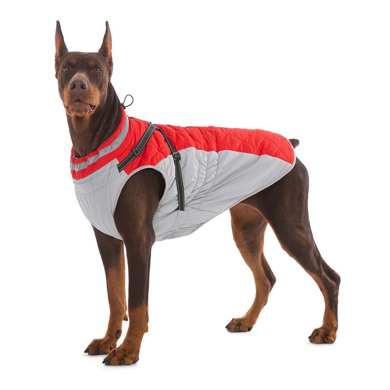 Neu Do Herbst Winter Fleece-Gefüttert Warme Wasserdichte Zipper Jacke Für Große, Mittlere, und Kleine Dos Universal_voghion.com
