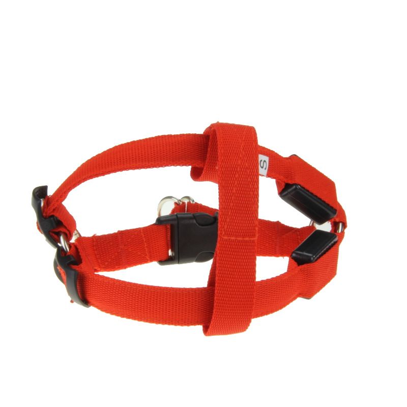 LED-beleuchtetes, blinkendes Brustgurt-Nachtlicht für Haustiere, Hundeleine-Geschirr_voghion.com