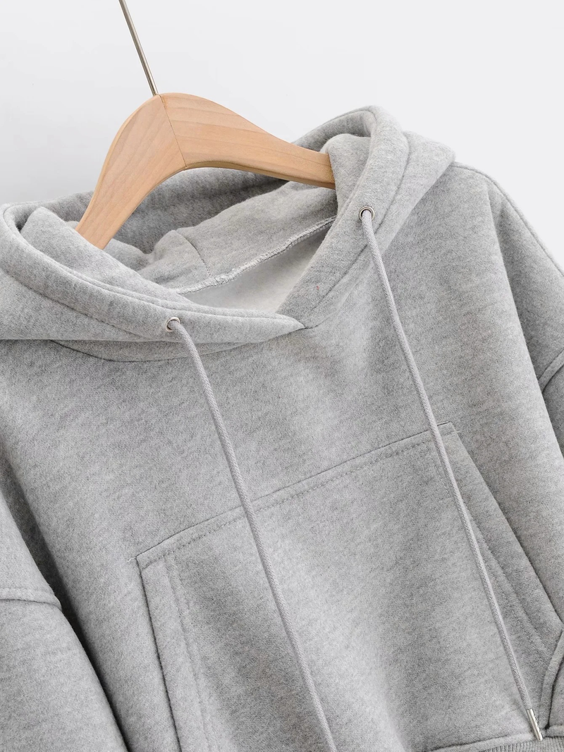 Ropa de mujer Otoño e invierno nuevo estilo suelto más sudadera con capucha de terciopelo + pantalones harén casuales con puños traje deportivo para mujer_voghion.com