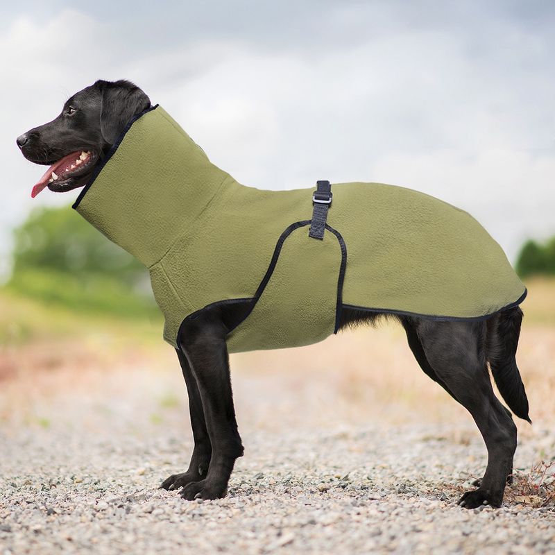 Pullover Pet Fleece Golden Retriever Thickened Warm Hooded Solid Color Dog Clothes_voghion.com