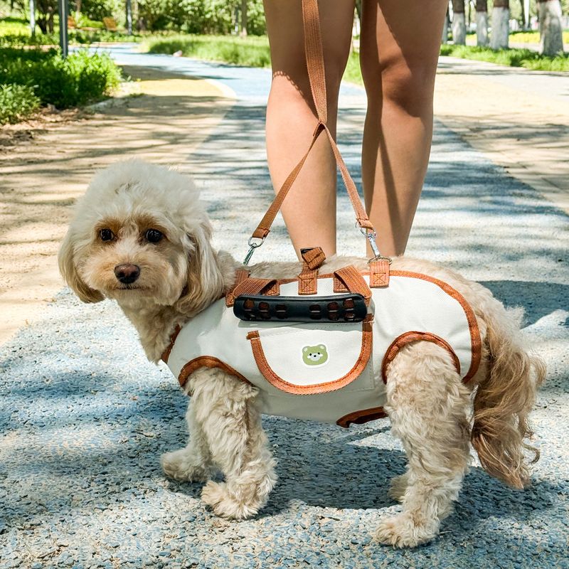 HuanChong Outdoor Portable Pet Leash Medium And Large Vest Type Explosion-Proof Chest Harness Outgoing Dog Walking Rope_voghion.com