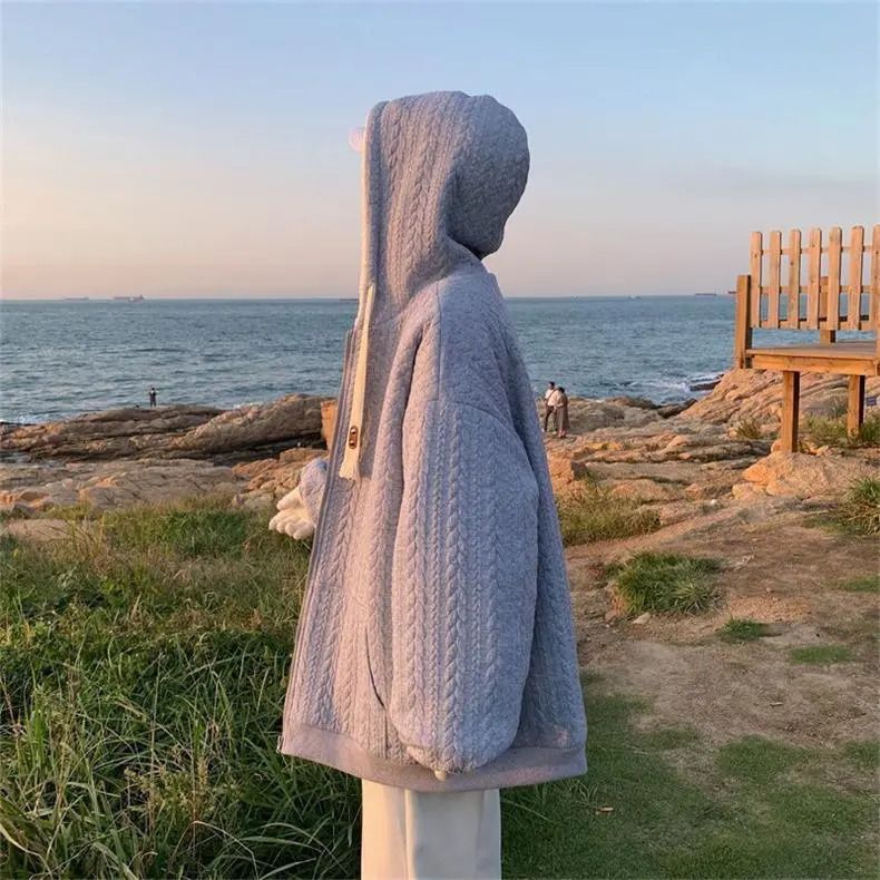 Thickened Lamb Wool Hooded Jacket With Added Fleece, Fashionable And Casual Cotton Jacket Top_voghion.com