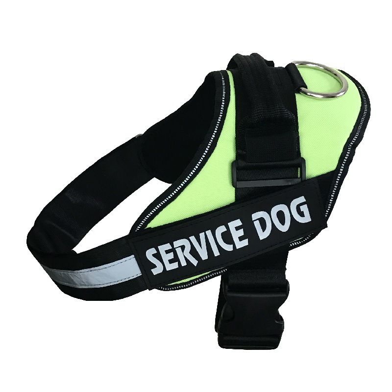 SERVICE DOG Pet For Large Dogs Golden Retriever K9 Dog Harness Walking Leash_voghion.com