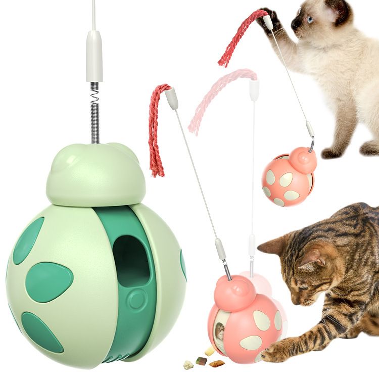 New Popular Tumbler Balance Car Beetle Cat Toy_voghion.com