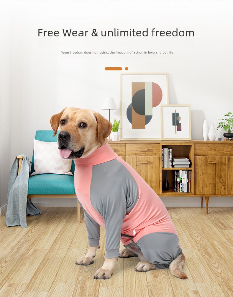 Vêtements pour gros chiens transfrontaliers Vêtements d'été tout compris résistants aux poils Vêtements à quatre pattes Vêtements de rééducation pour animaux de compagnie Vêtements pour chiens moyens et grands_voghion.com