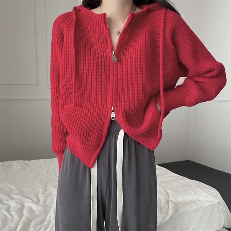 Cardigan lavorato a maglia con cappuccio e cerniera da donna autunno e inverno nuovo design senso stile pigro maglione giacca piccola cima corta_voghion.com