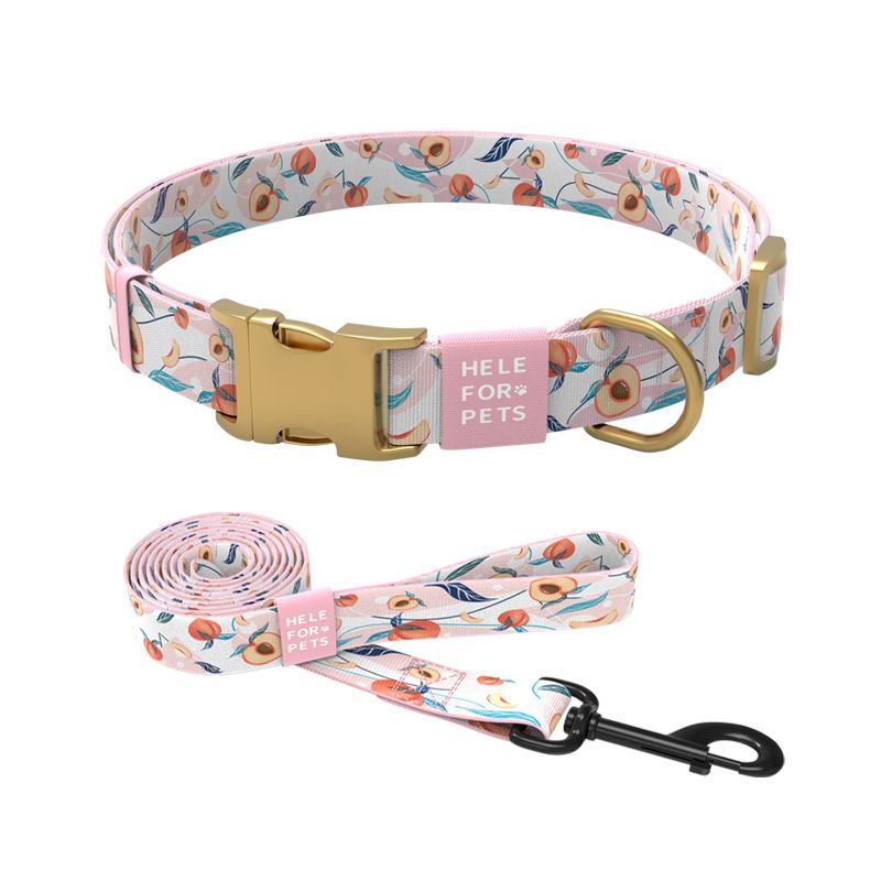 New Design Peach Pattern Adjustable Dog Accessories Neck Collar Leash Pet Supplies_voghion.com
