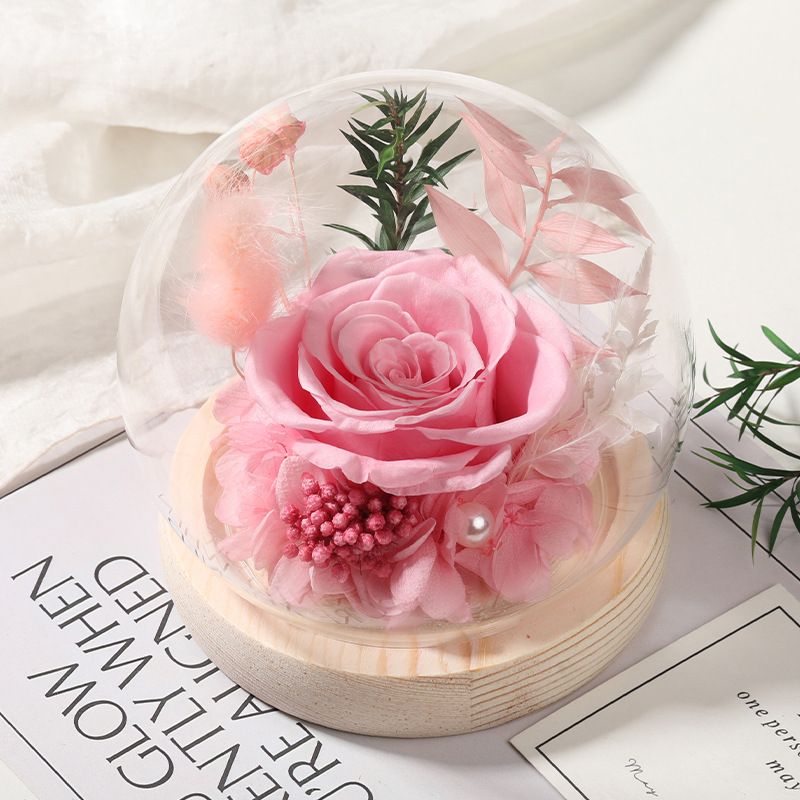 Cupola in vetro con rose stabilizzate - Rose vere di alta qualità + copertura in vetro spesso, luce LED con USB, regalo per San Valentino/Qixi/compleanno/matrimonio/laurea_voghion.com