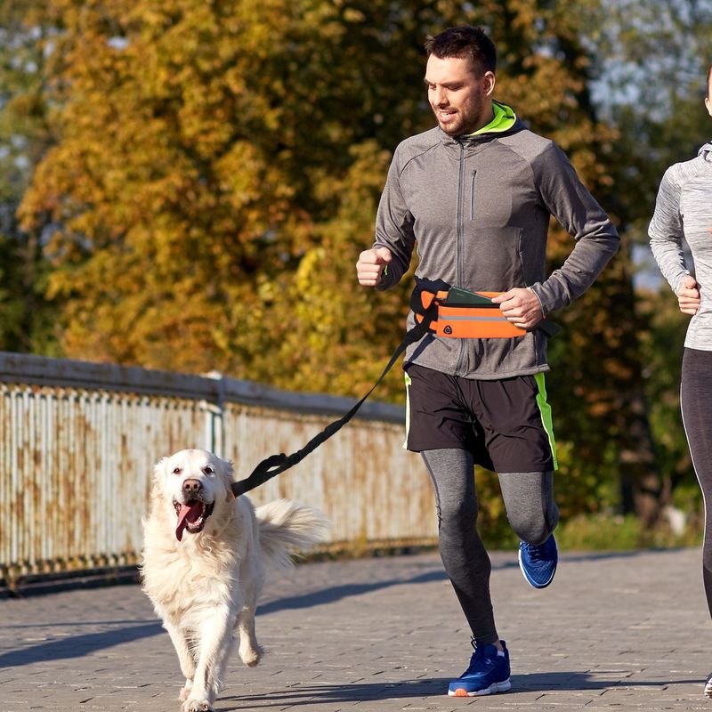 Buitensporten Huisdier Heuptas Lijn Reflecterend Elastisch Anti-botsing Hardlopen Comfortabel Zacht Sterk Touw_voghion.com