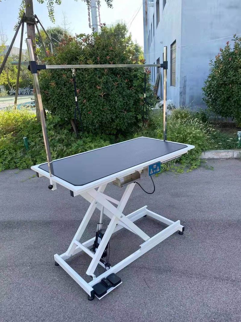 super Deluxe electric pet grooming table;  110V/220V professional groomer recommend height adjust from 8 up to 36inch_voghion.com