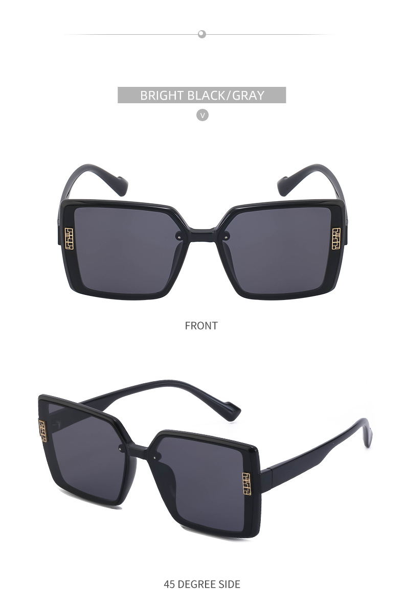 2022 New Fashion TR polarizzati occhiali da sole con montatura grande occhiali da sole coreani di fascia alta da donna all'ingrosso transfrontaliero_voghion.com