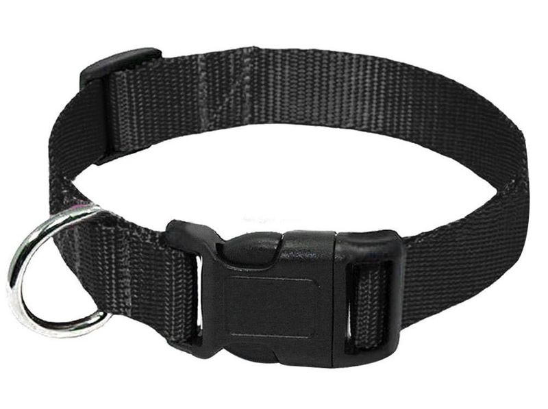 Durable Nylon Dog Collar Neck Strap Leash Pet Supplies_voghion.com