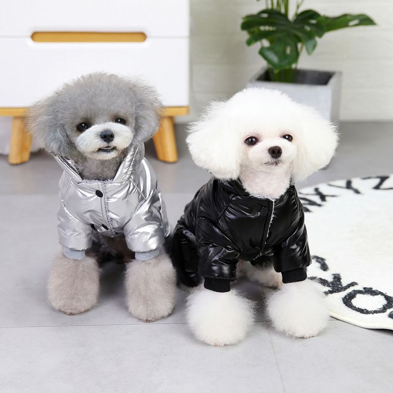 Pet clothing autumn and winter cotton-padded jacket dog clothes pet waterproof four-legged clothes winter 21 ginned four-legged cotton-padded clothes_voghion.com