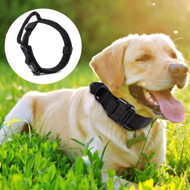 Guinzaglio antideflagrante robusto anti-fuga tattico cross-border per Malinois Golden Retriever Pastore tedesco da caccia, taglia media_voghion.com