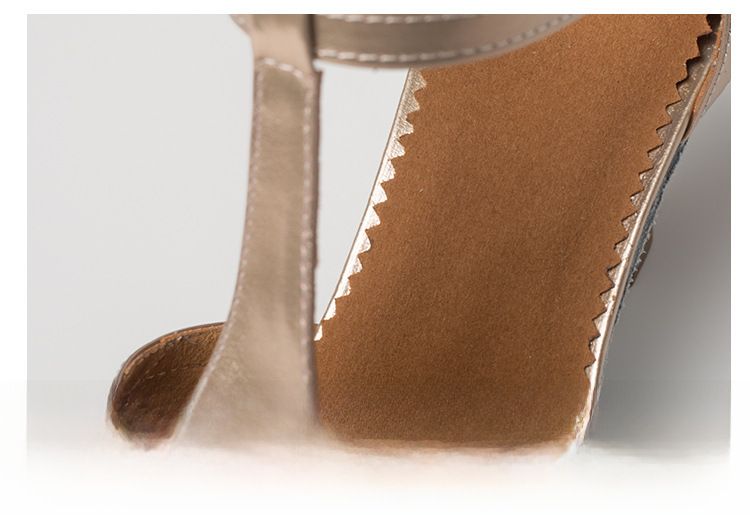 Neu Damen High Heels Modern Dance Schuhe Weiche Sohlen Tanzschuhe Indoor Professionelle Latin Dance Schuhe_voghion.com