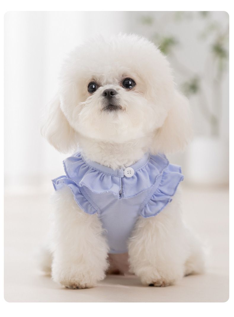 Spring And Summer Puppy Cartoon Print Lace Collar Traction Vest Small Teddy Bear Pet Dog Clothes_voghion.com