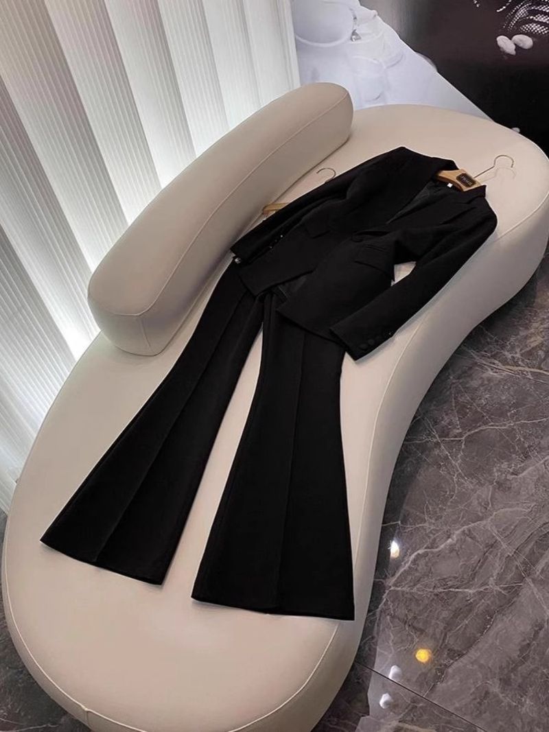 Women's Clothing High End Professional Commuter Suit Spring And Autumn Temperament Slim Suit Flared Pants Two Piece Suit_voghion.com