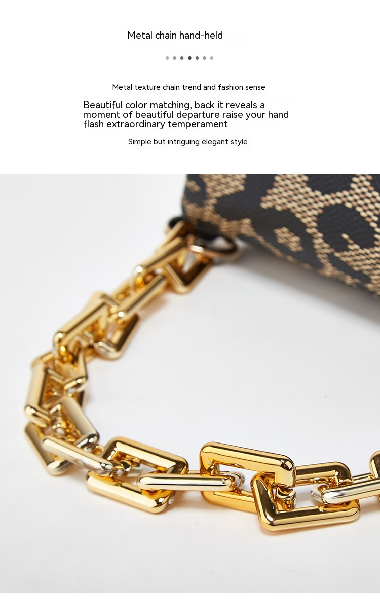 Europäesch an amerikanesch Hot Selling Nei Moud a Casual Villsäiteg Einfach Crossbody Broschtbeutel Damen Leopardmuster Schëllerbeutel Handybeutel_voghion.com