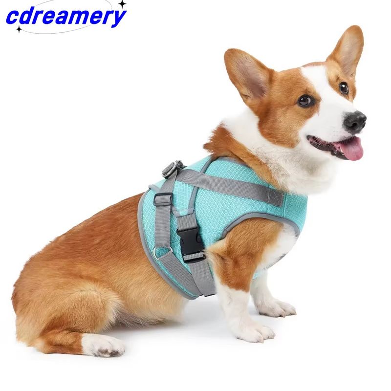 Giacca estiva in rete traspirante per cani, giacca antifreddo regolabile per cani di taglia grande e piccola._voghion.com