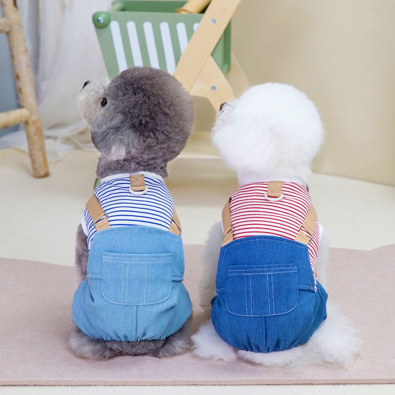 Accueil Vêtements pour animaux de compagnie Printemps/Été Nouveau 24 Pantalons à quatre pattes en denim_voghion.com