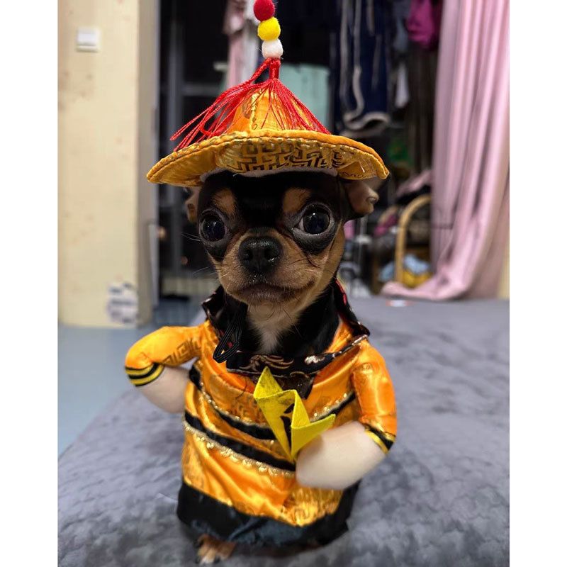 Spring And Autumn Pet Clothing Cute Funny Quirky Costume Hilarious Cat Dog Clothes Standing Transformation Outfit 3D_voghion.com