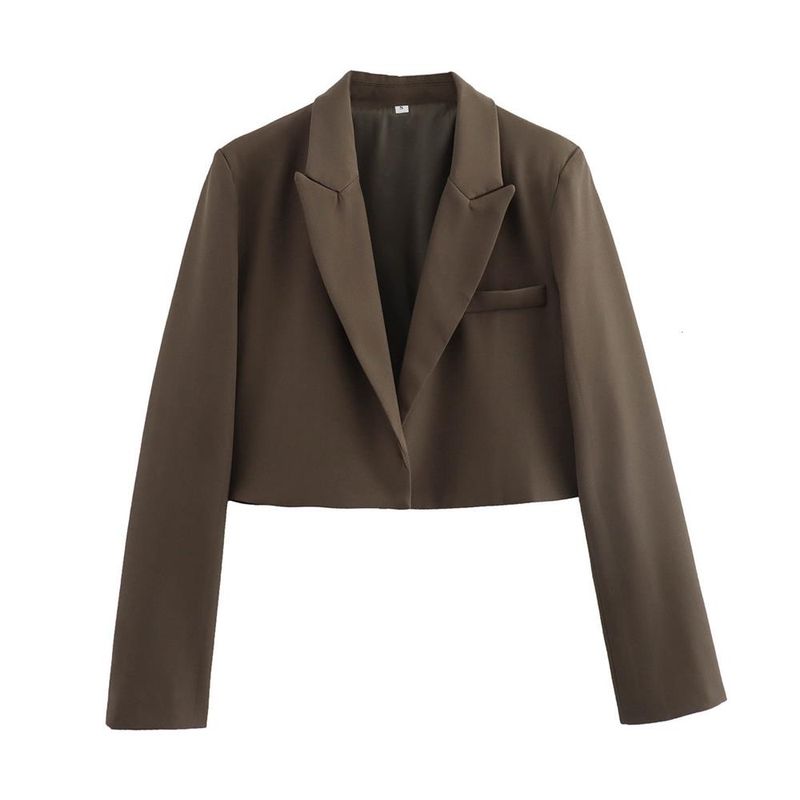 Women's Clothing 2024 Autumn Winter New Style Personality Fashion Simple Short Blazer Jacket For Women_voghion.com