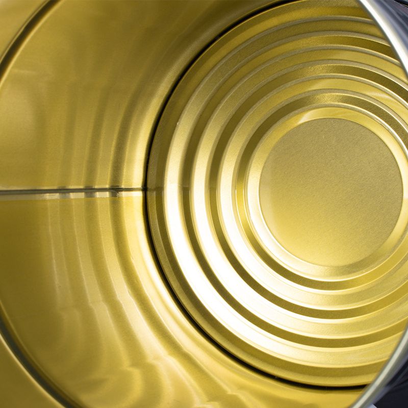 RAF Handstaubsauger mit Trockenbeutel, extrem starke Saugkraft, für Haushalt und Hotel, hohe Leistung, EU-Standard_voghion.com